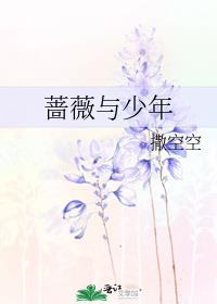 蔷薇与少年